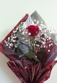 Gift wrapped Red Rose