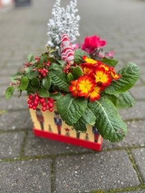 NutCracker Plant Selection